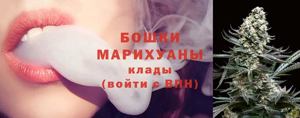 соль ск Белокуриха