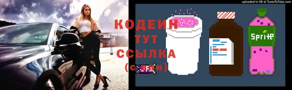 соль ск Белокуриха