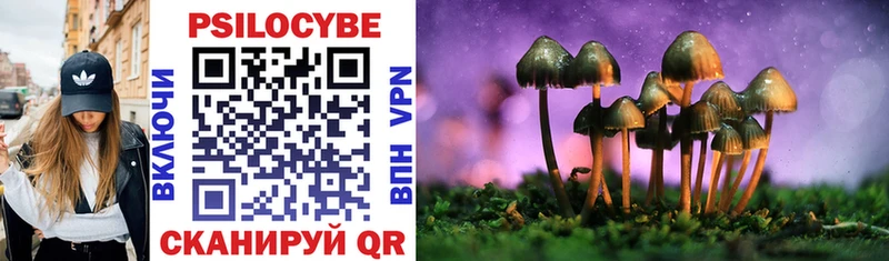 Псилоцибиновые грибы Magic Shrooms  Купить где  Осинники 